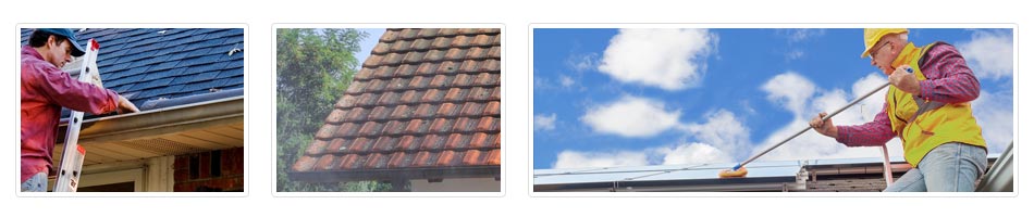 Bold Heath roof cleaning costs