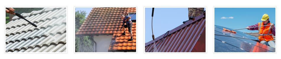 roof cleaning Bold Heath